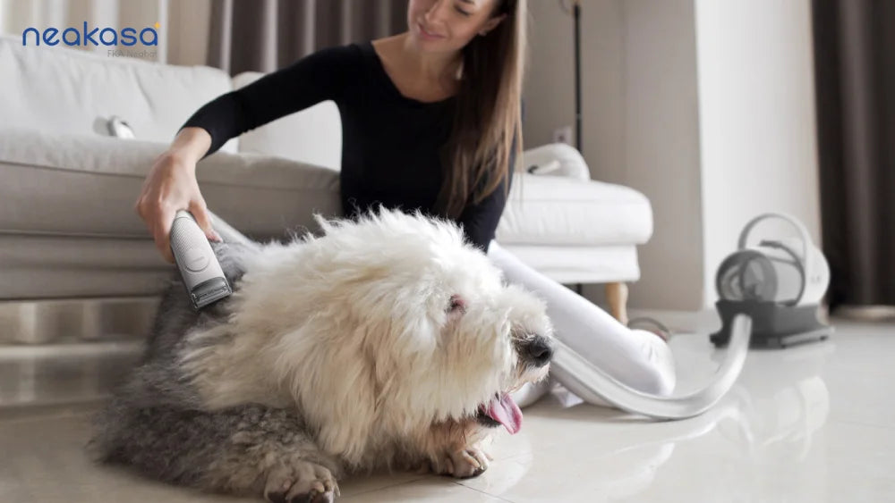 Pet Grooming Vacuum