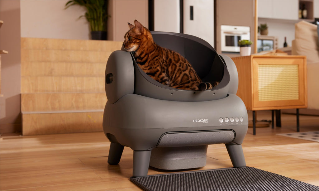 automatic litter box