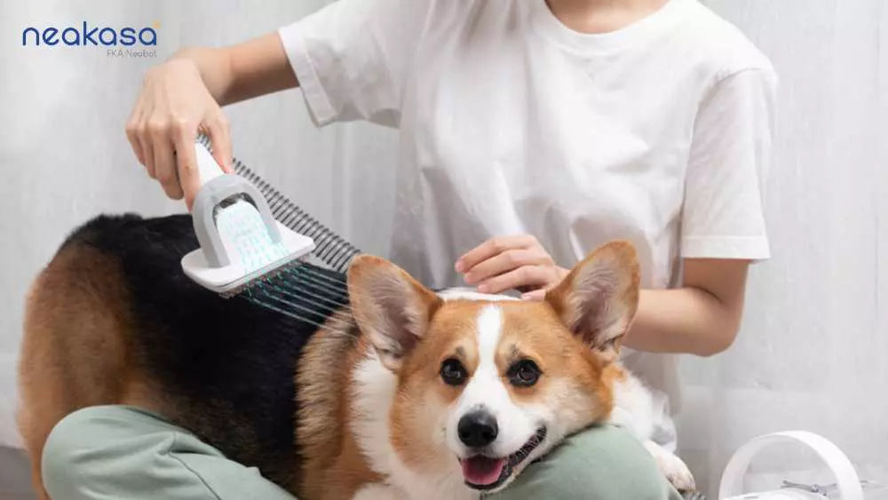dog grooming vacuum