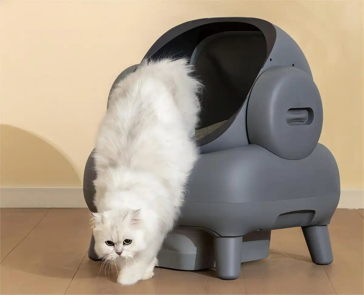 litter boxes for large cats