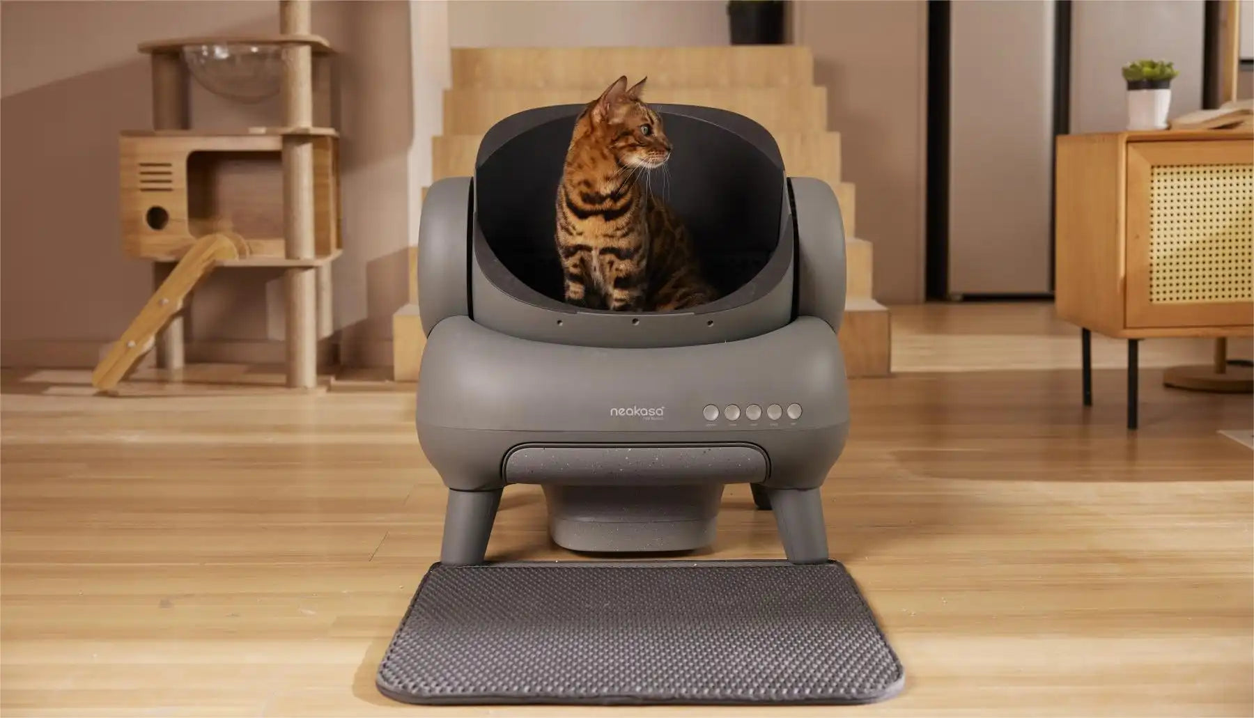 neakasa m1 litter box