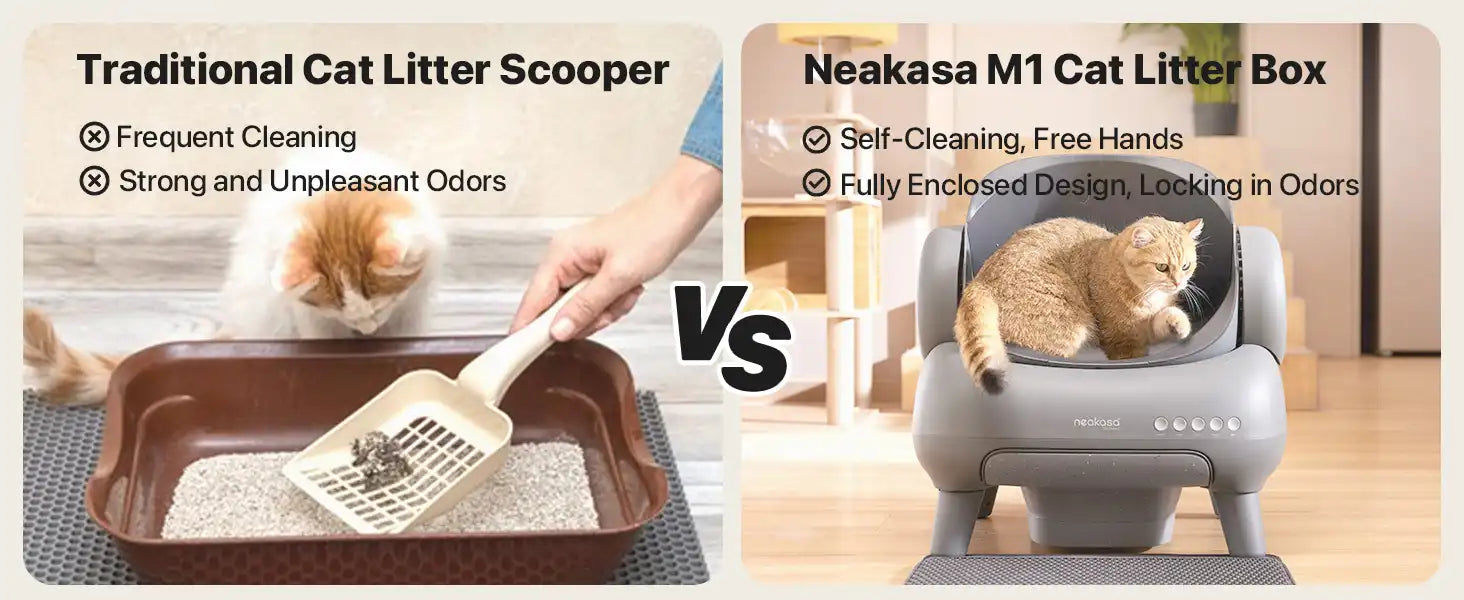 traditional cat litter box vs automatic litter box