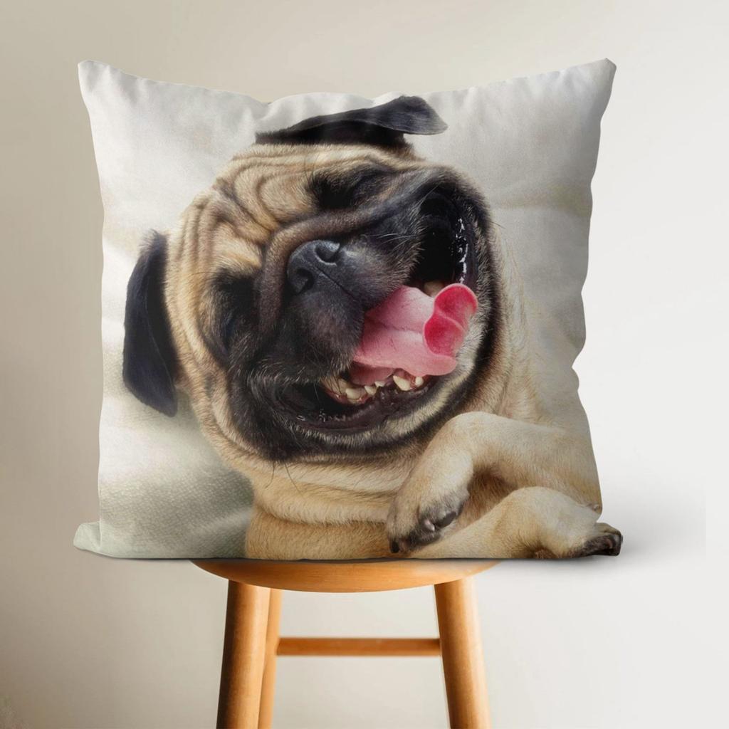 Custom Photo Pillow - Multiple Designs