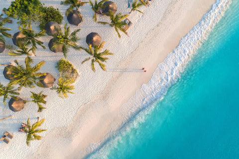 Aerial view of umbrellas, palms on the sandy beach