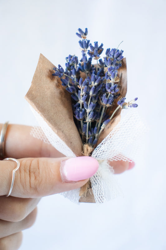 Mini Bouquet - Dried Lavender (Lavandula) Arrangement – Film & Florals