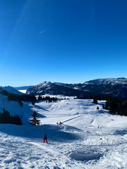 Les Chalets des Auges