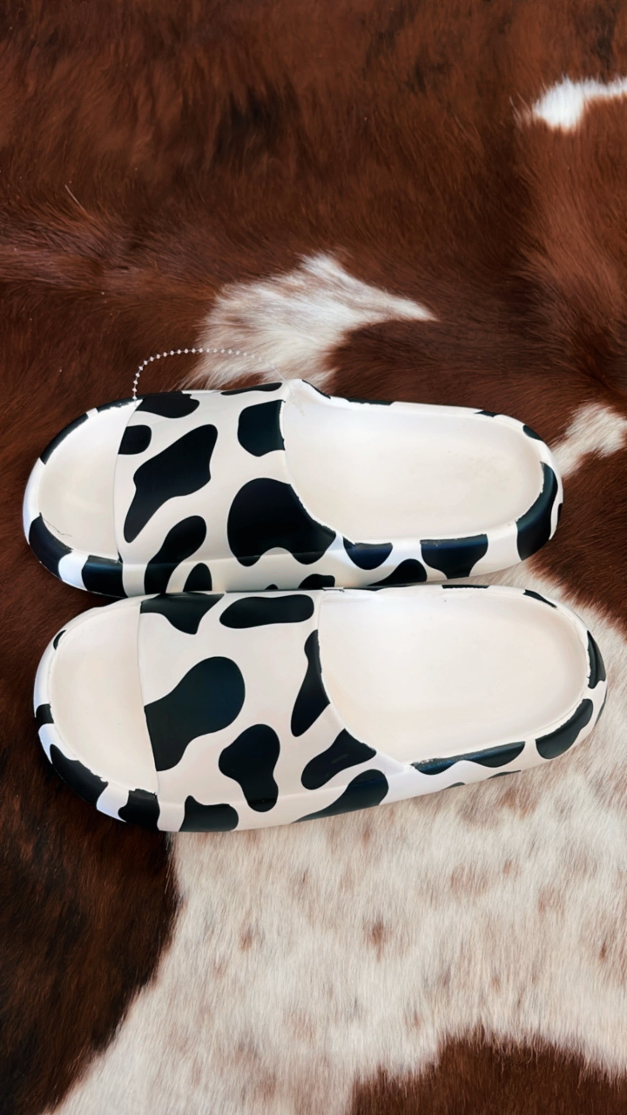 The Moo Shoes – Blondies and Buckles