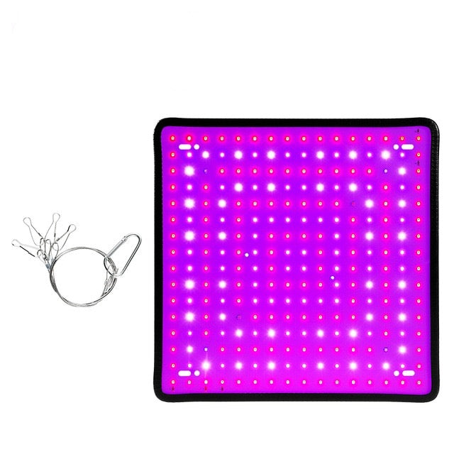 morsen 2400w led grow light