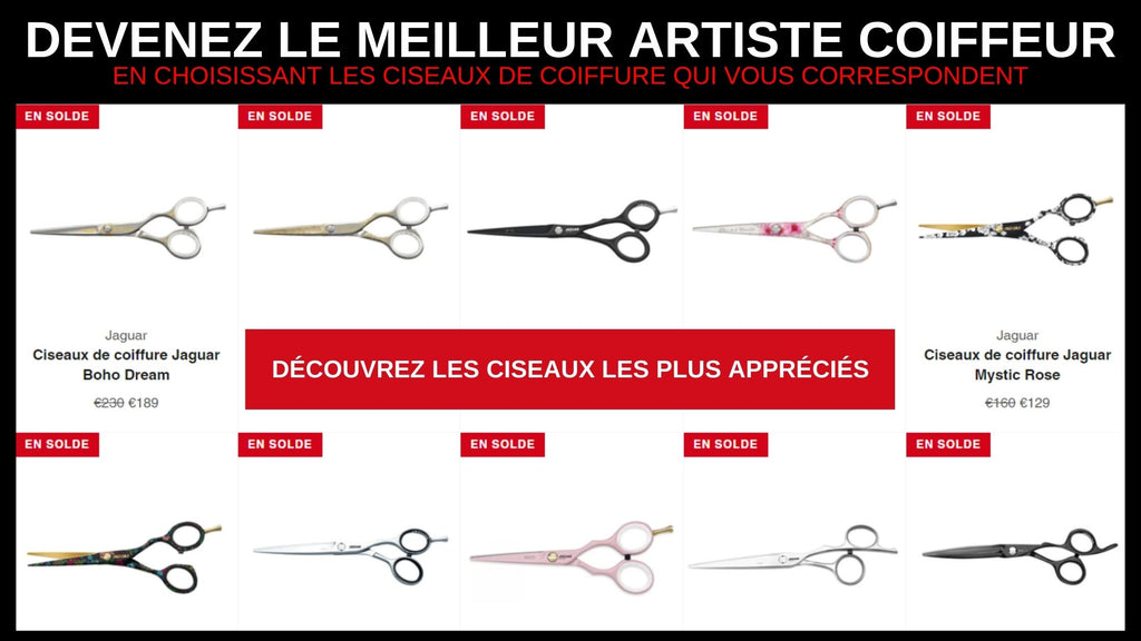 Ciseaux Coiffure Professionnels