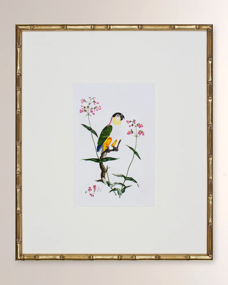 Bird Habitat IV Framed Giclee Print