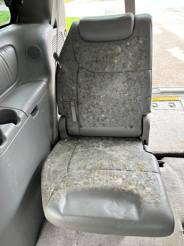 a moldy car seat