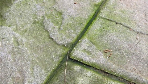 a close up of patio tiles stained by algae and dirt