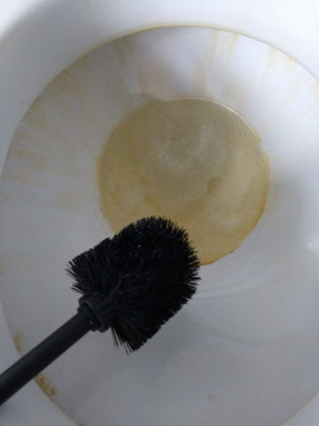 photo of toilet bowl with scrub brush