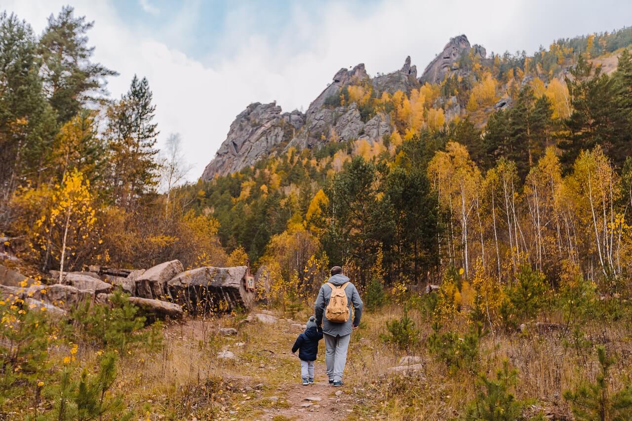 What to do when hiking outdoors and encountering hornets?