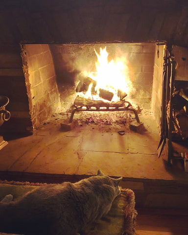 Cat with Rancho La Casa Firewood