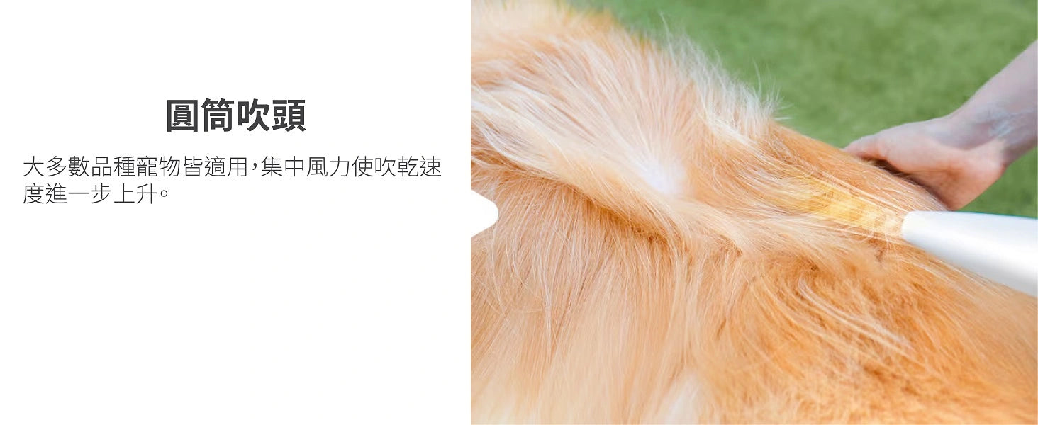 Design Chicken創意購物平台