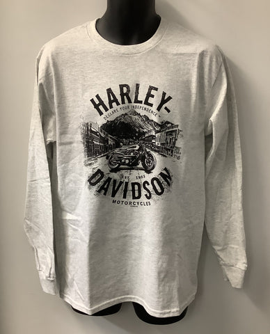 Davidson Men's HD Update Sleeve T-Shirt Gray 402910840 Schaeffer's Harley-Davidson MotorSports