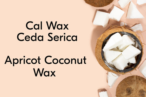 Coconut Soy Luxury Candle Wax, Coconut Soy / EC26 Wax by Calwax (Slab  Form)