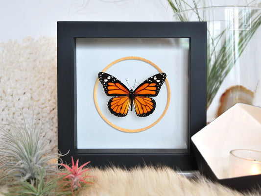 Monarch Wooden Butterfly Decor - Blackbrdstore