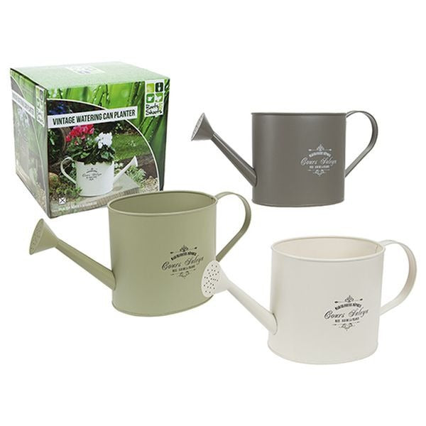 View Large Vintage Watering Can Planter In Colour Box 3 Assorted information