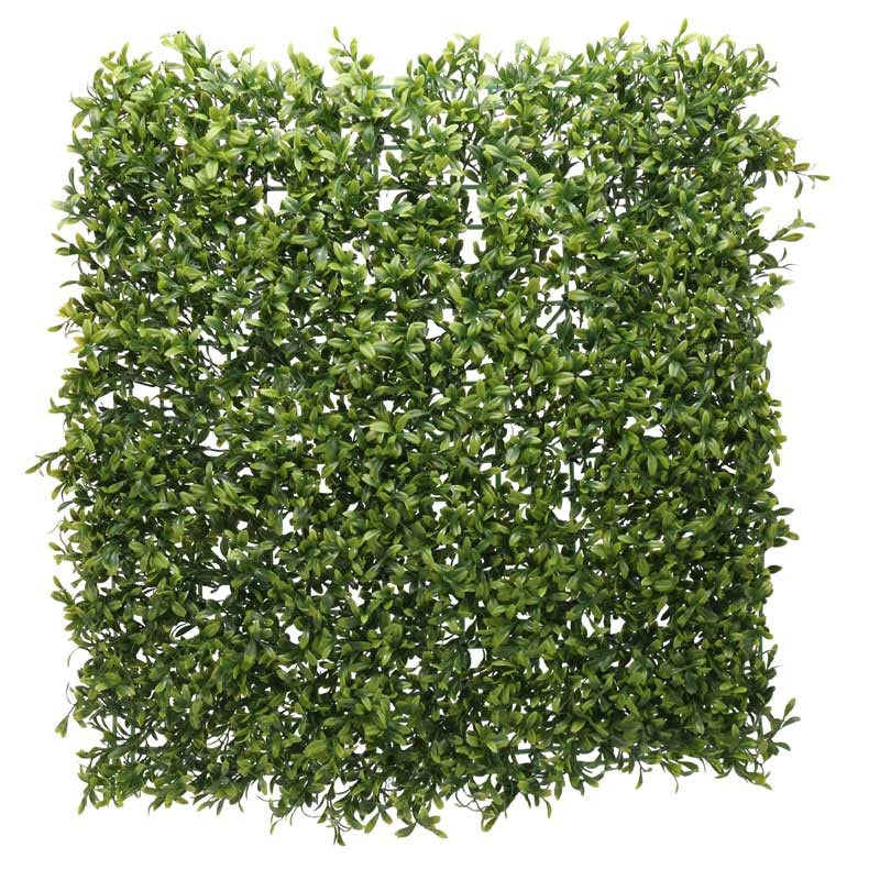 View Green Plant Wall 50 x 50cm information