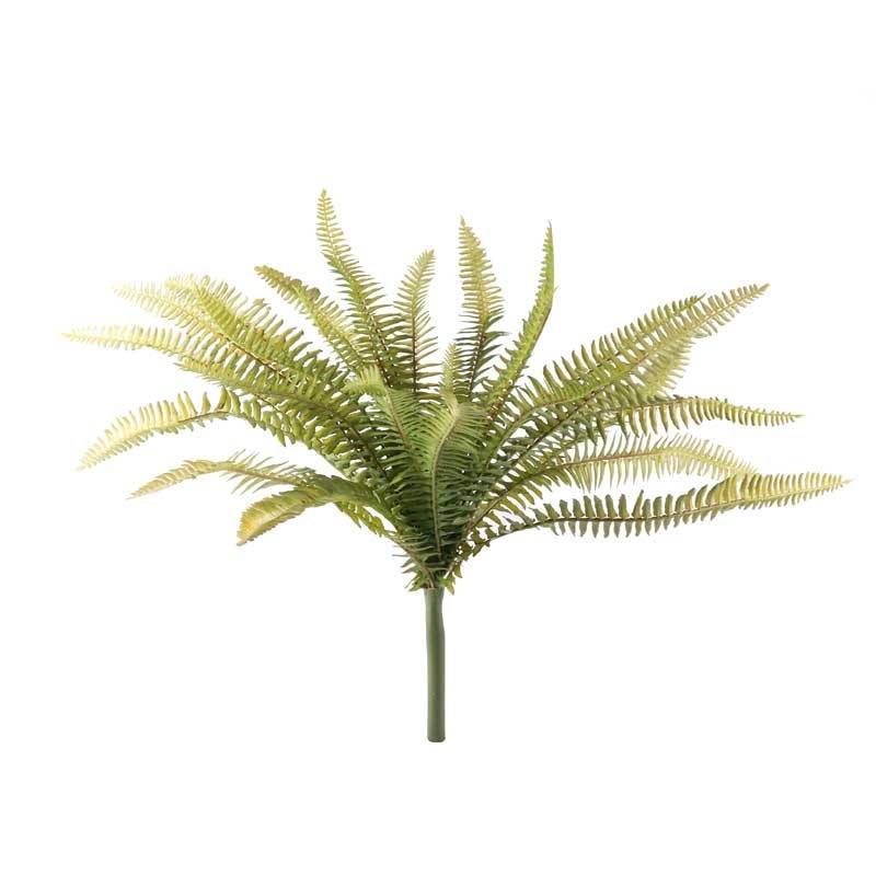 View 40cm Forest Fern information