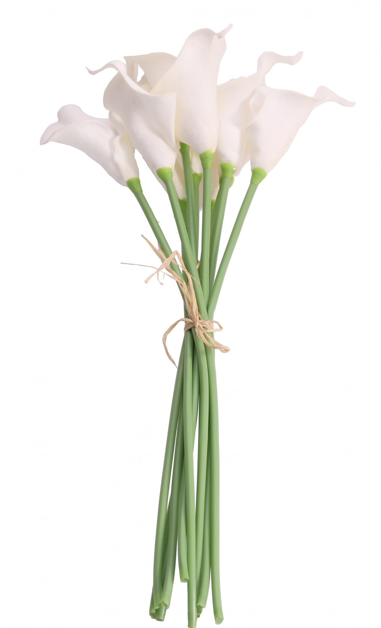 View Ivory Calla Lily information