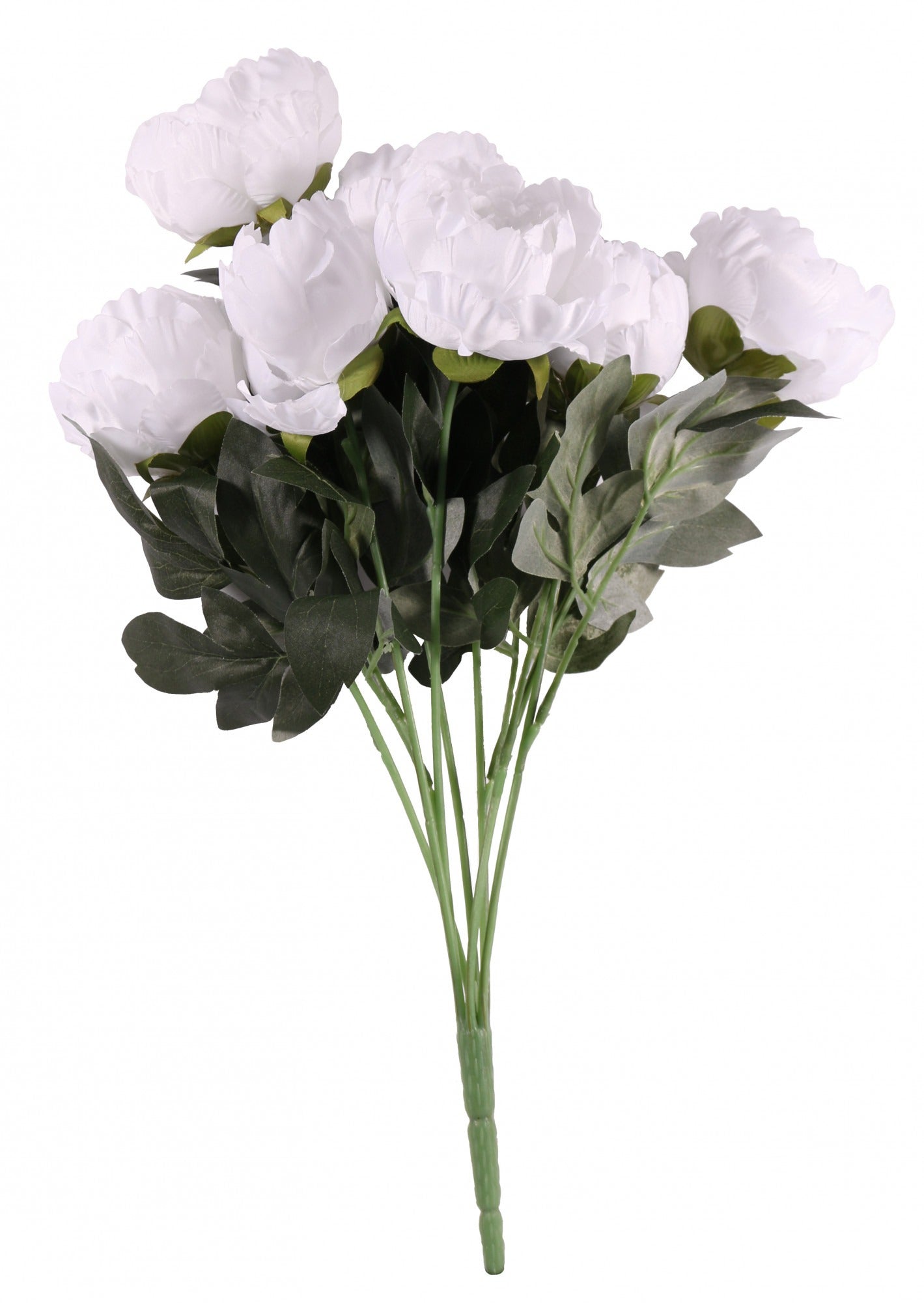 View White King Peony Bunch information