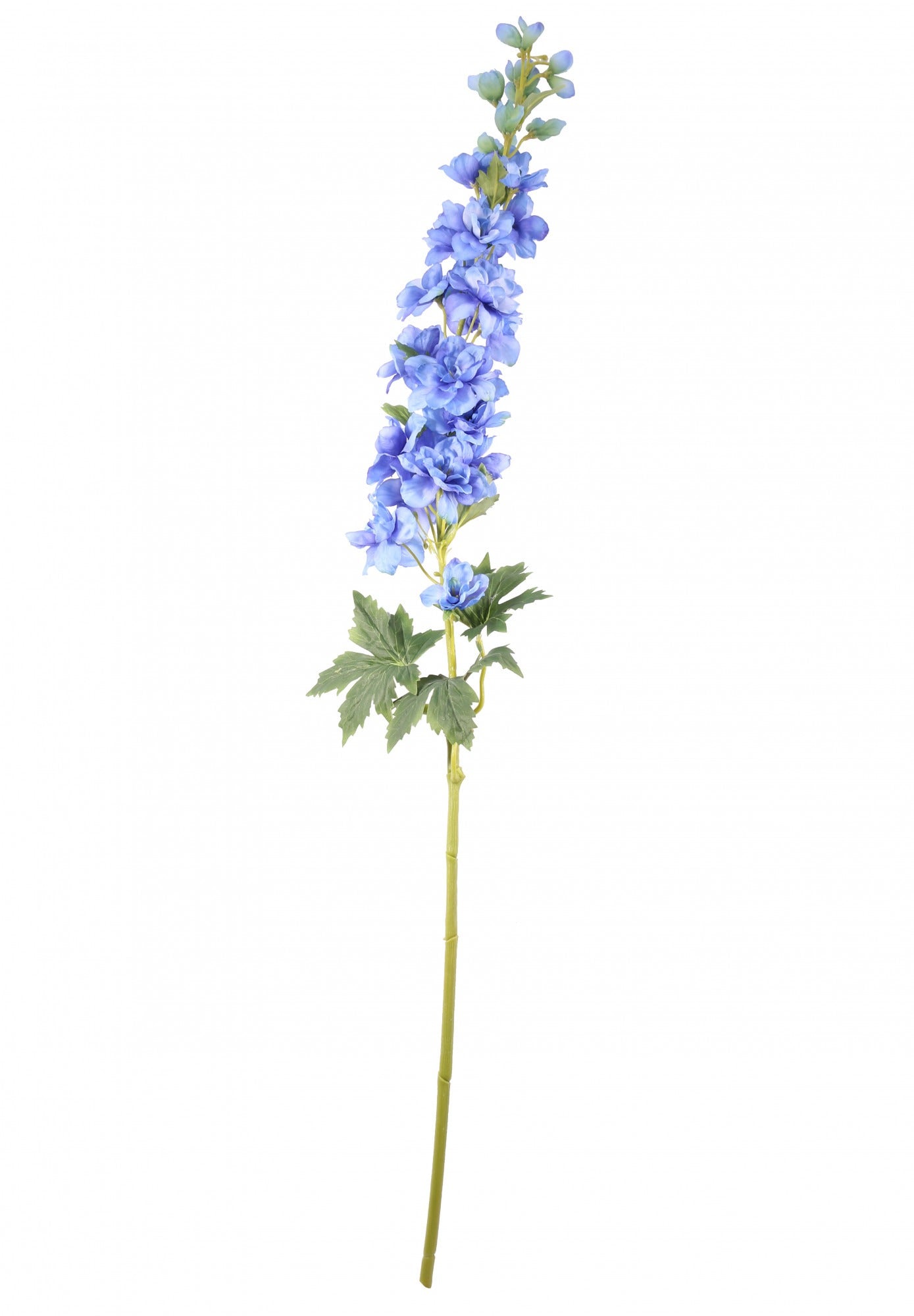 View Blue Cottage Garden Delphinium information