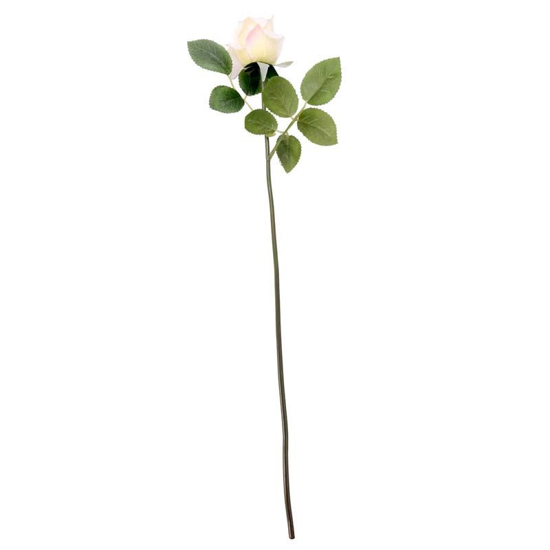 View Arundel Rose Bud Ivory information