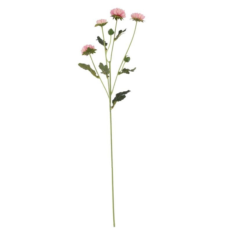 View Buckingham Spray Chyrsanthemum Pink information