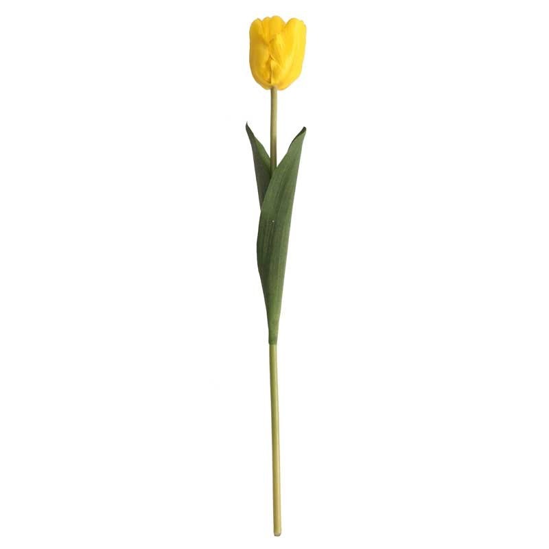 View Tulip Yellow information