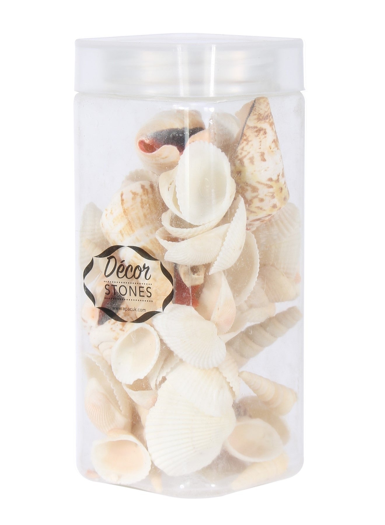 View Mixed Sea Shells in Jar information