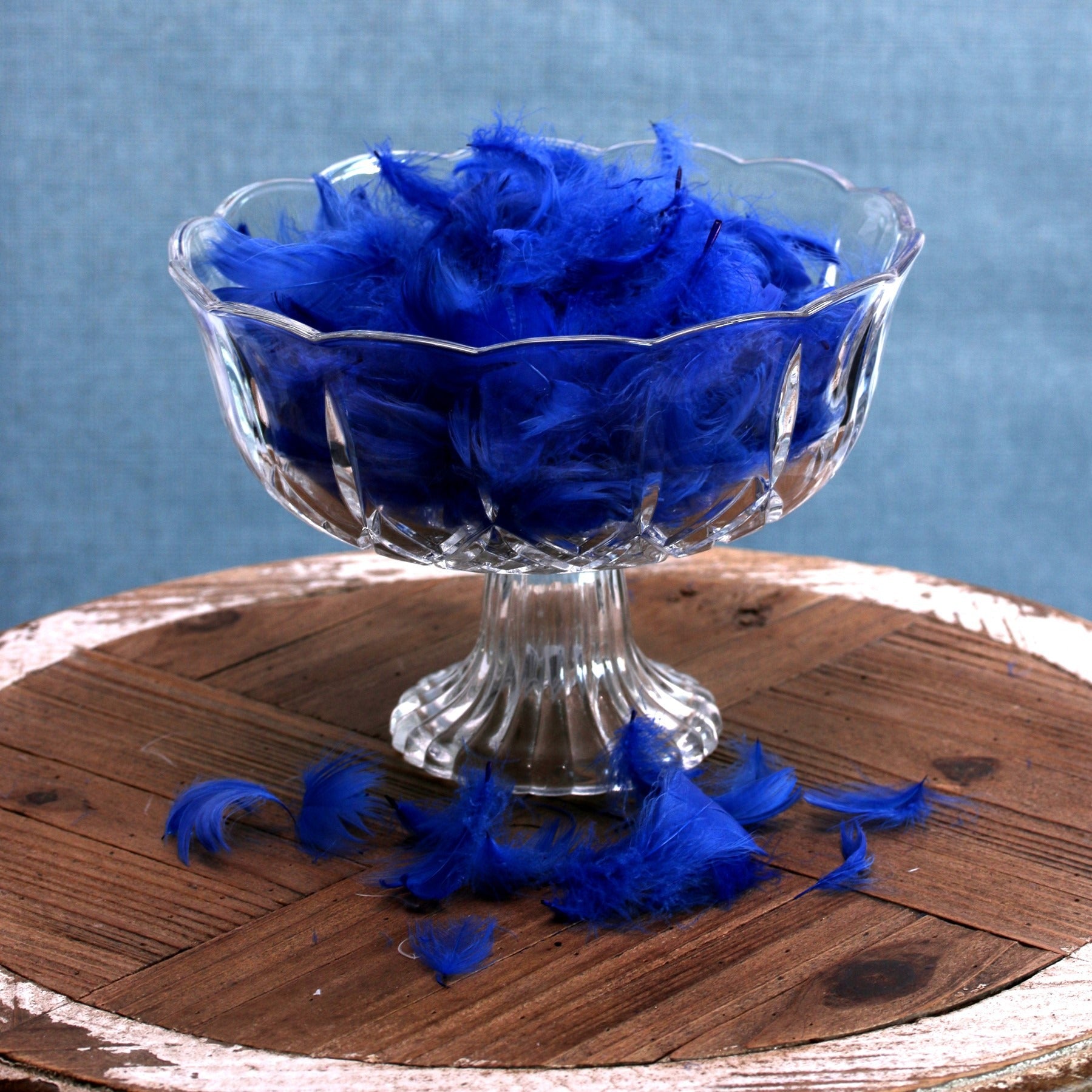 View Royal Blue Feathers in Bag 5g information