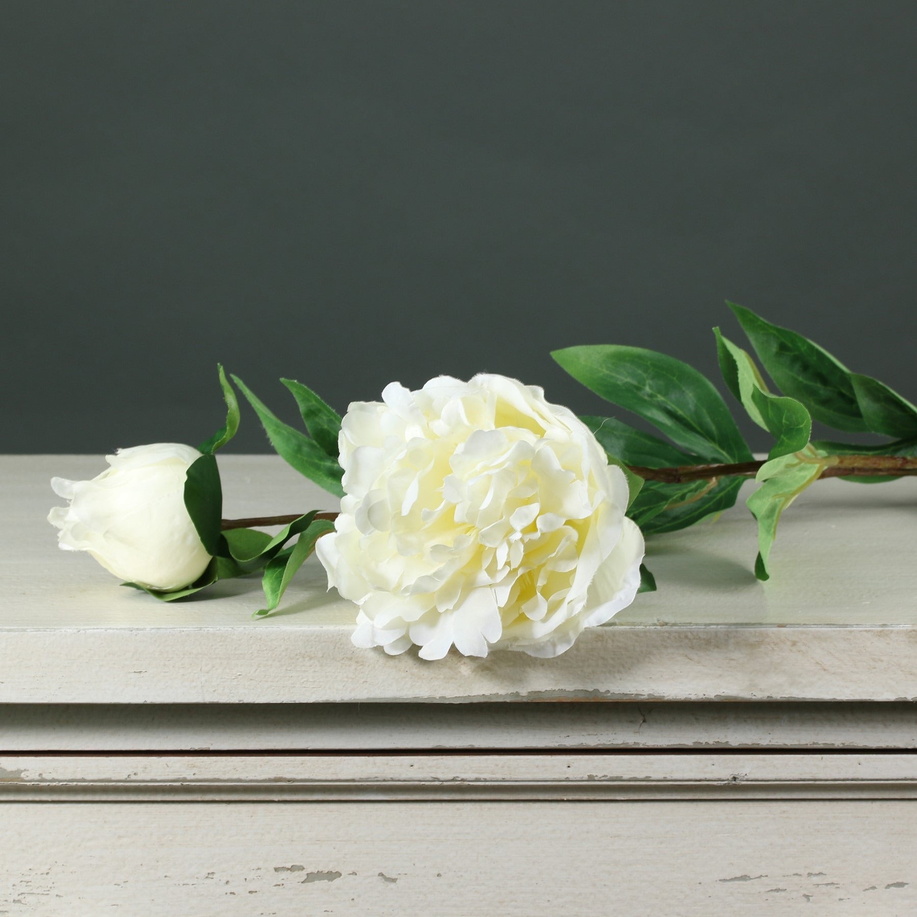 View Tintagel Spray Peony Cream information