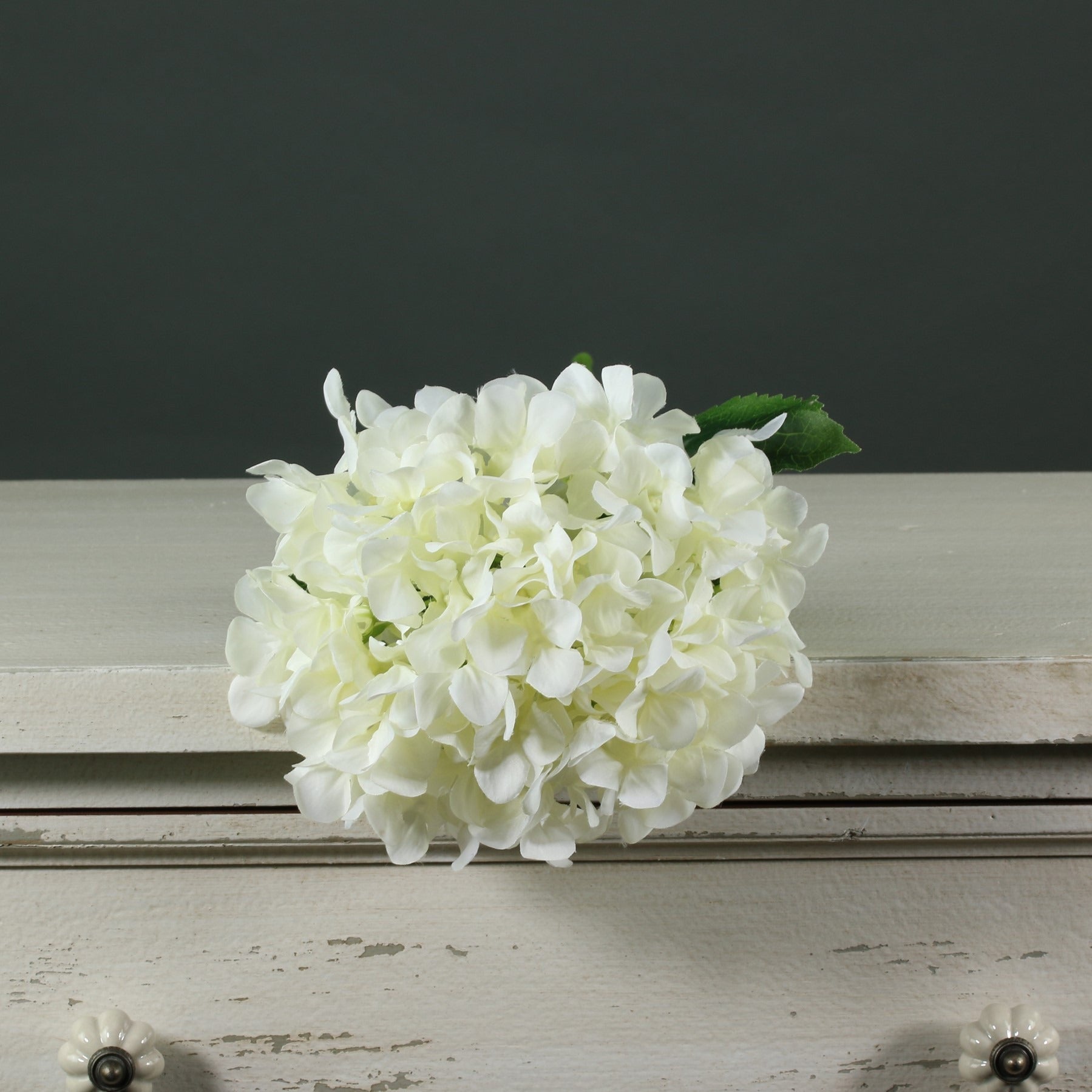 View Tintagel Hydrangea White information