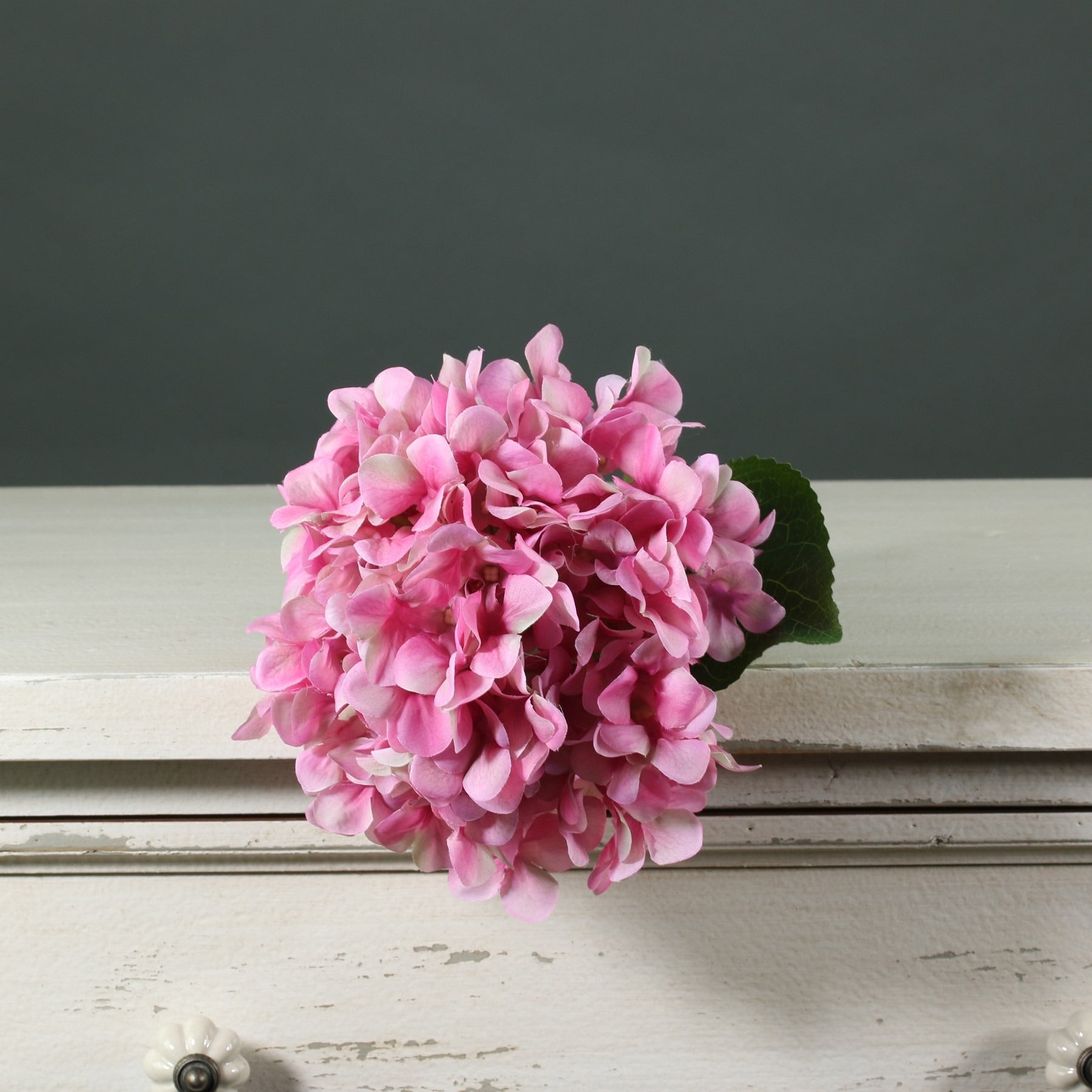 View Tintagel Pink Hydrangea information