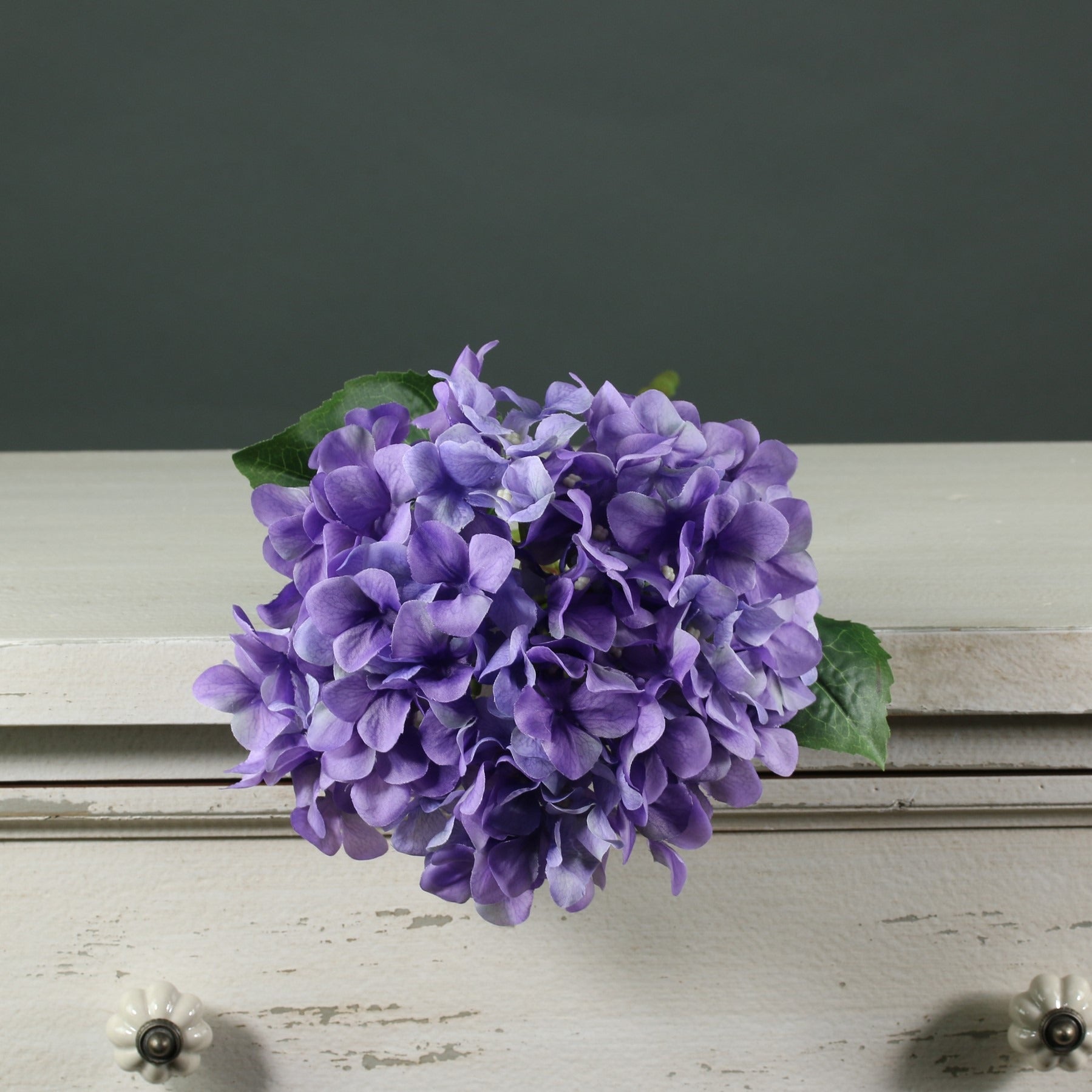 View Tintagel Hydrangea Lavender information