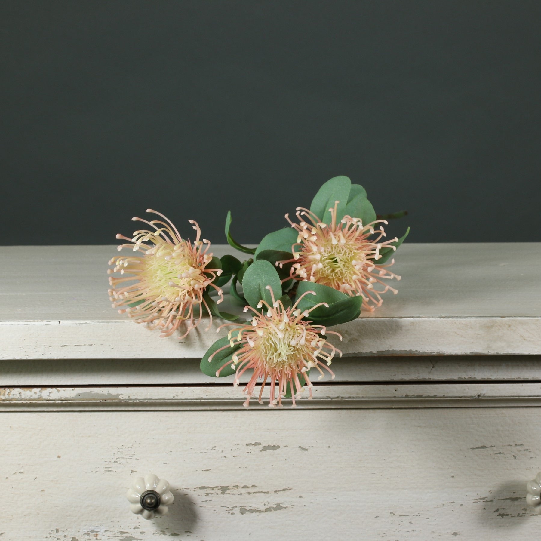 View Tintagel Leucospermum Peach information