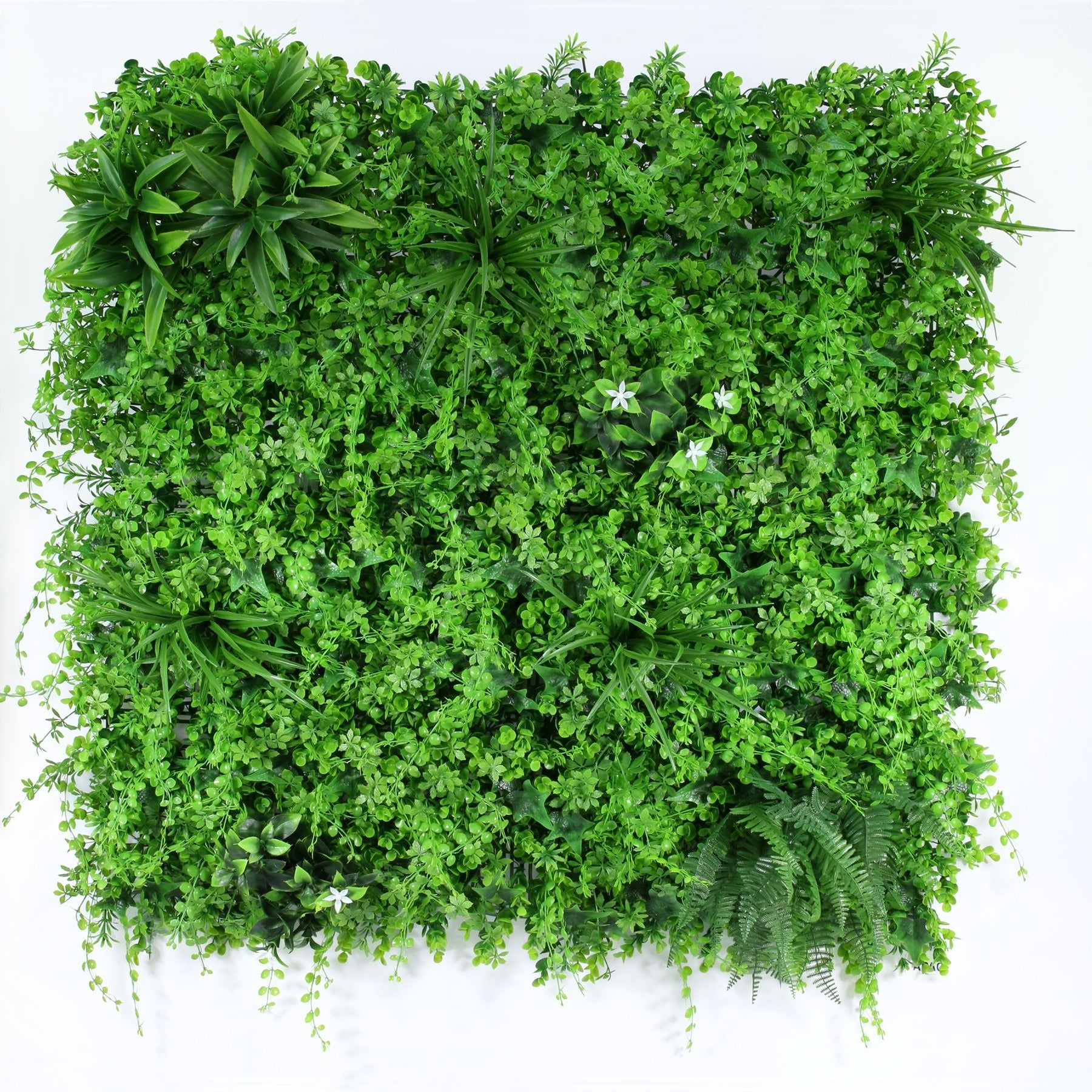 View Exterior UV Resistant Tropical Green Wall 1m information