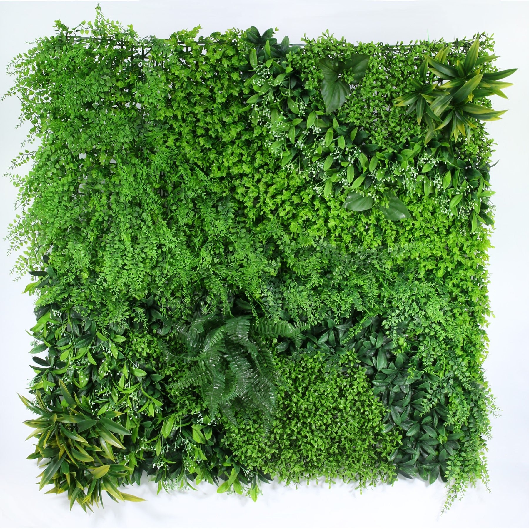 View Exterior UV Resistant Wave Green Wall 1m information