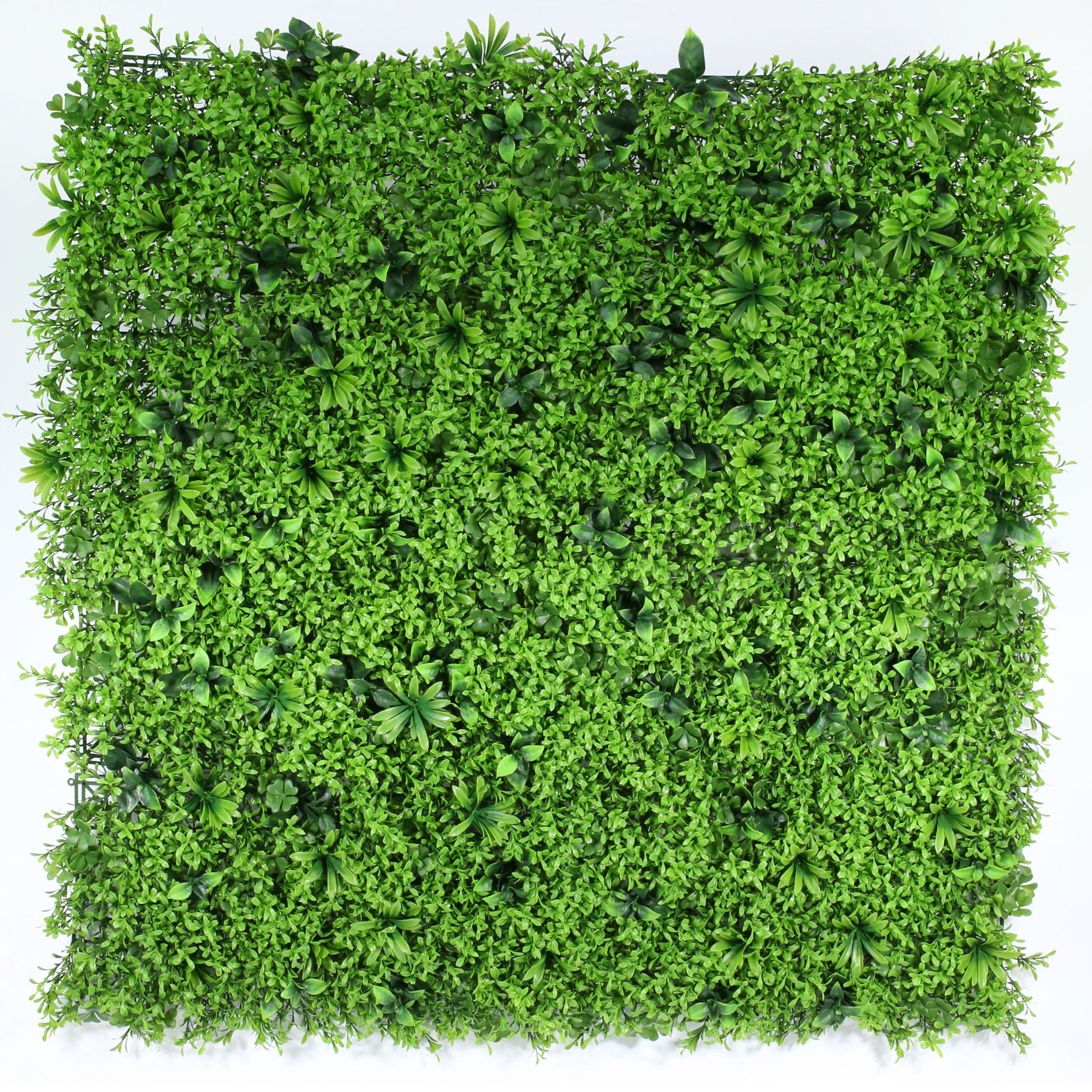 View Exterior UV Resistant Small Leaf Green Wall 1m information