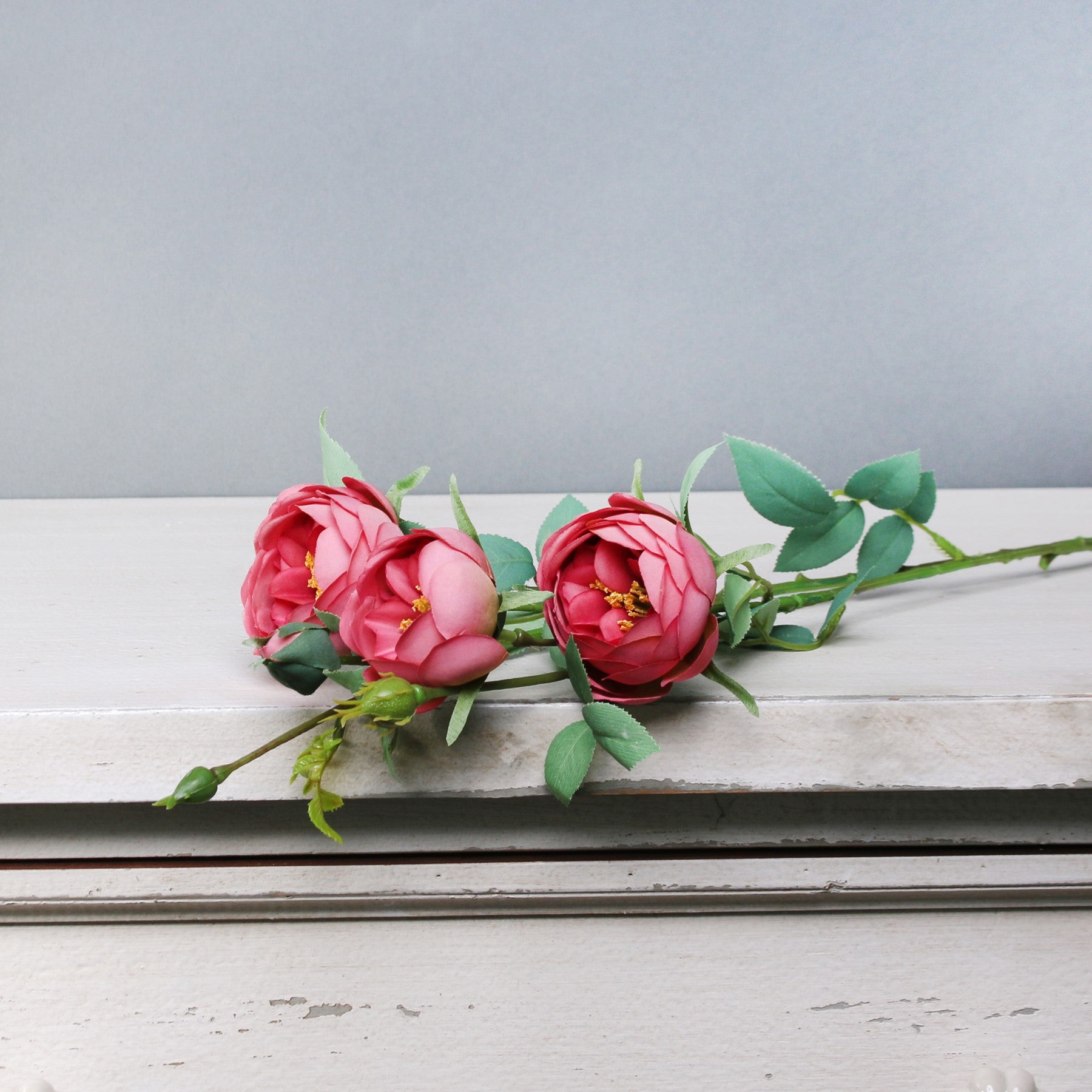 View Tintagel Vintage Hedgerow Rose Spray Dusky Pink information