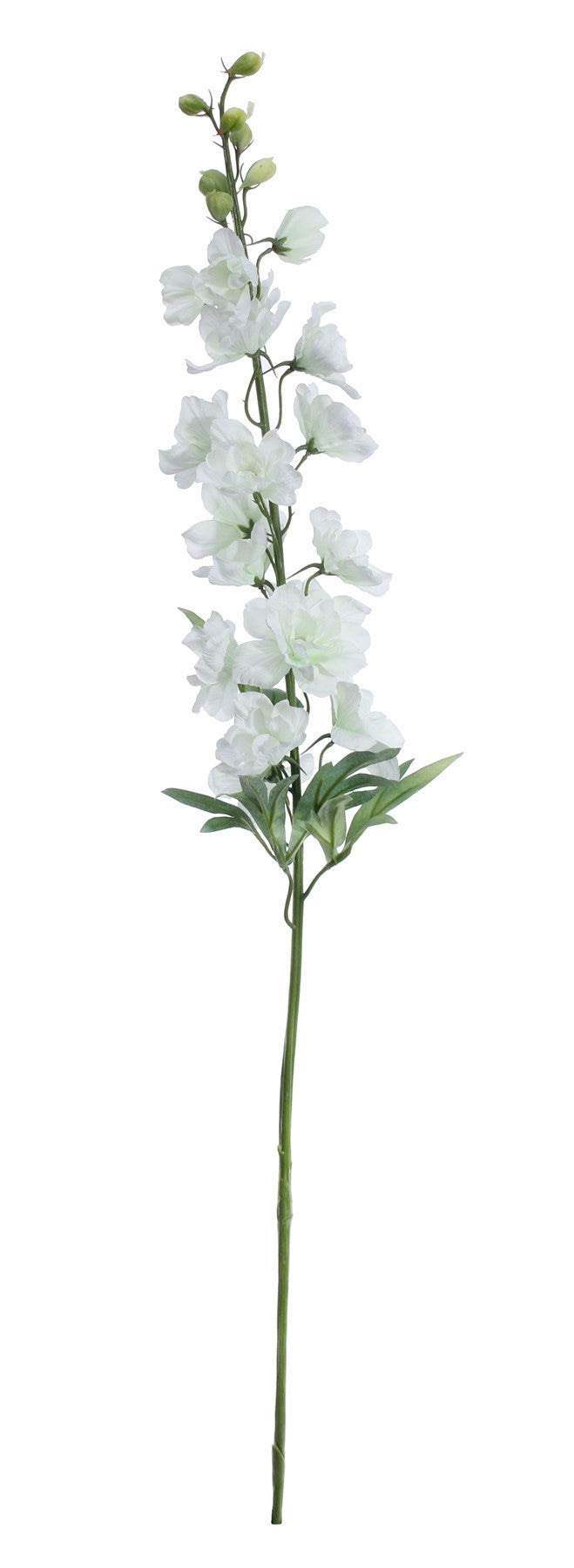 View White Delphinium Spray 91cm information