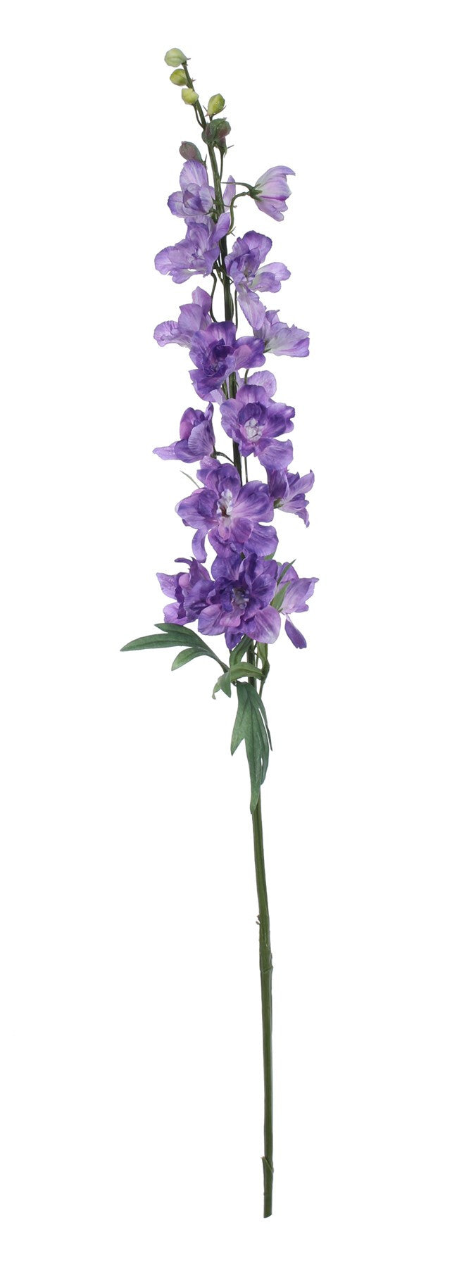 View Purple Delphinium Spray 91cm information