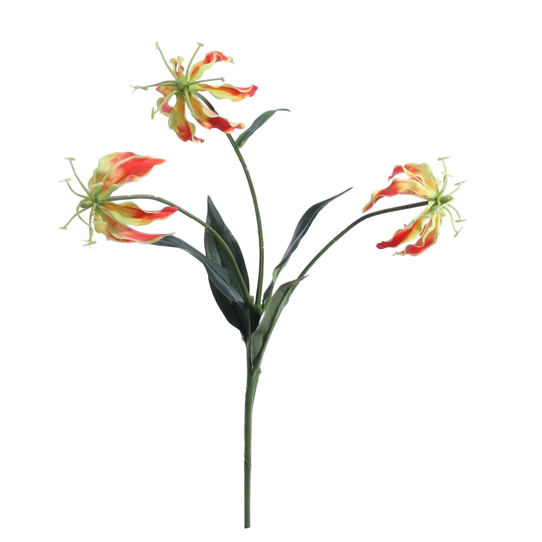 View Orange Gloriosa Spray 50cm information