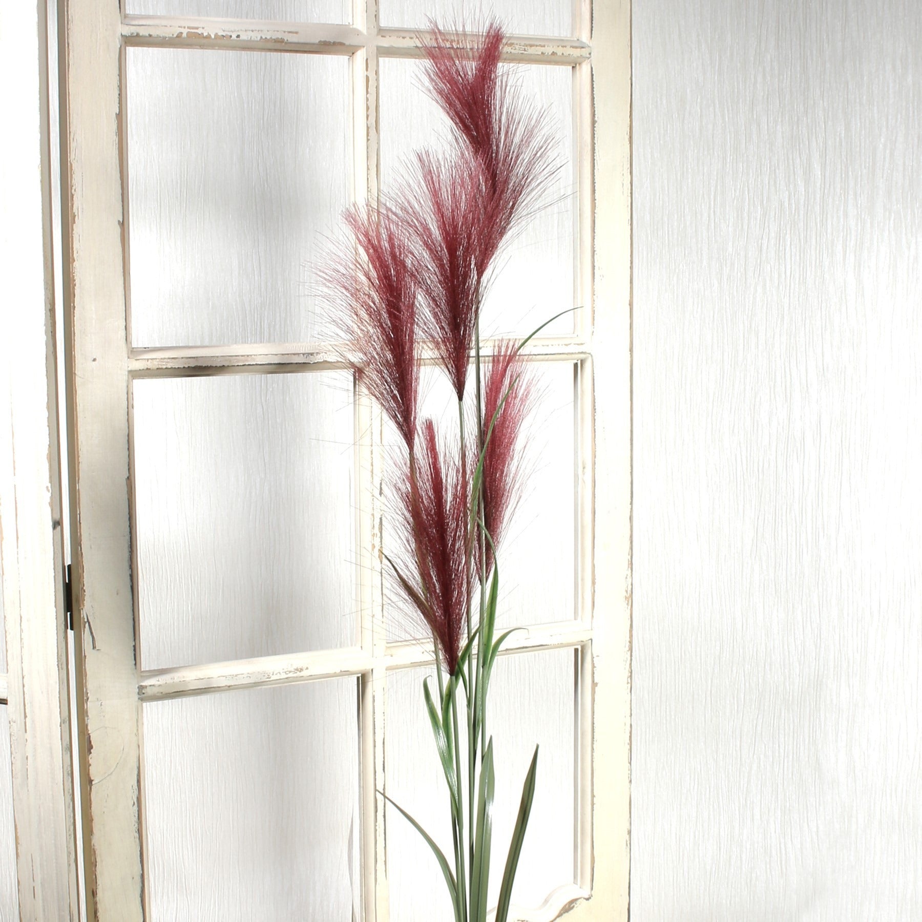 View Red Pampas Grass 145cm information