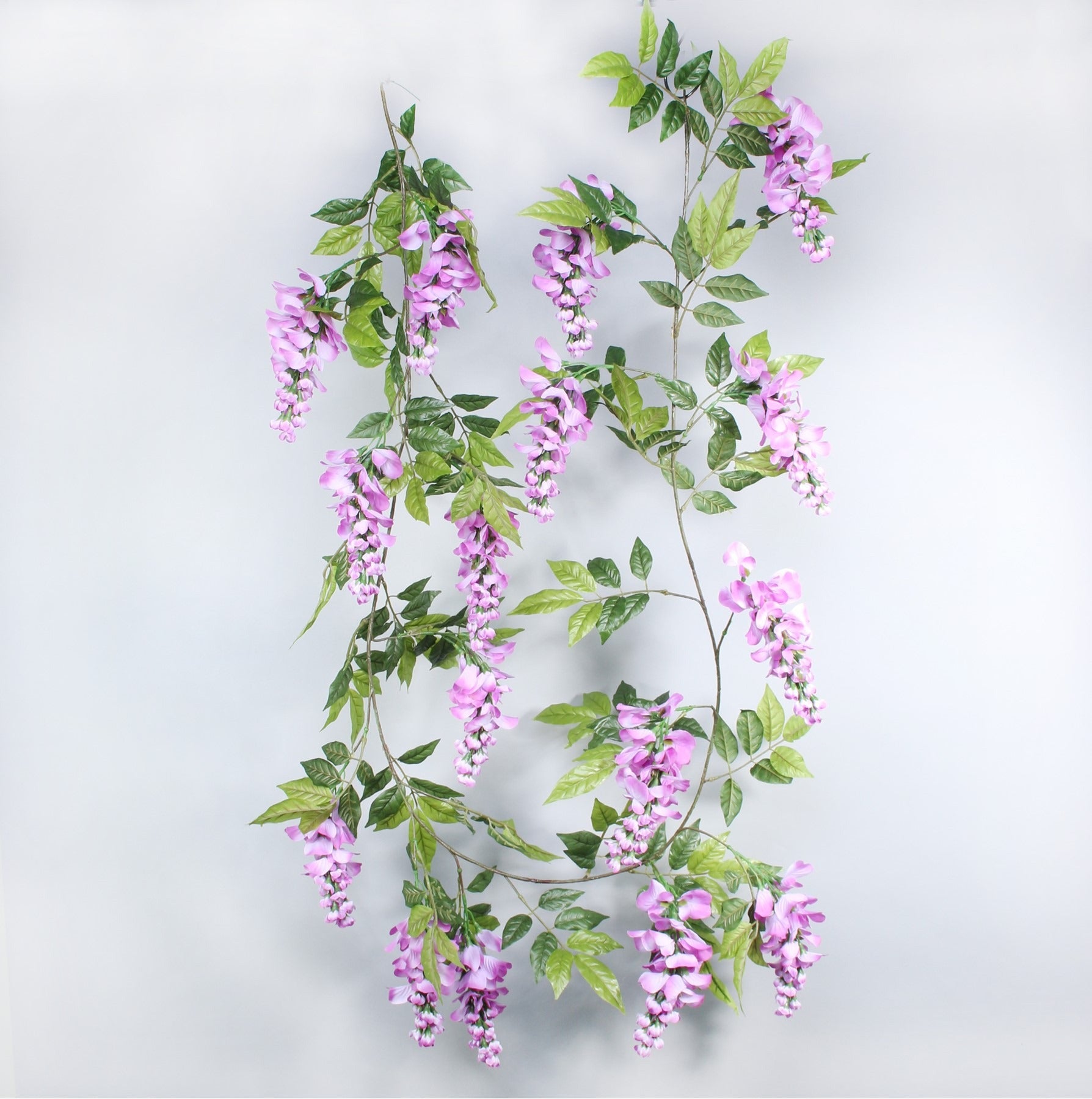 View Wisteria Garland Lilac 19M information