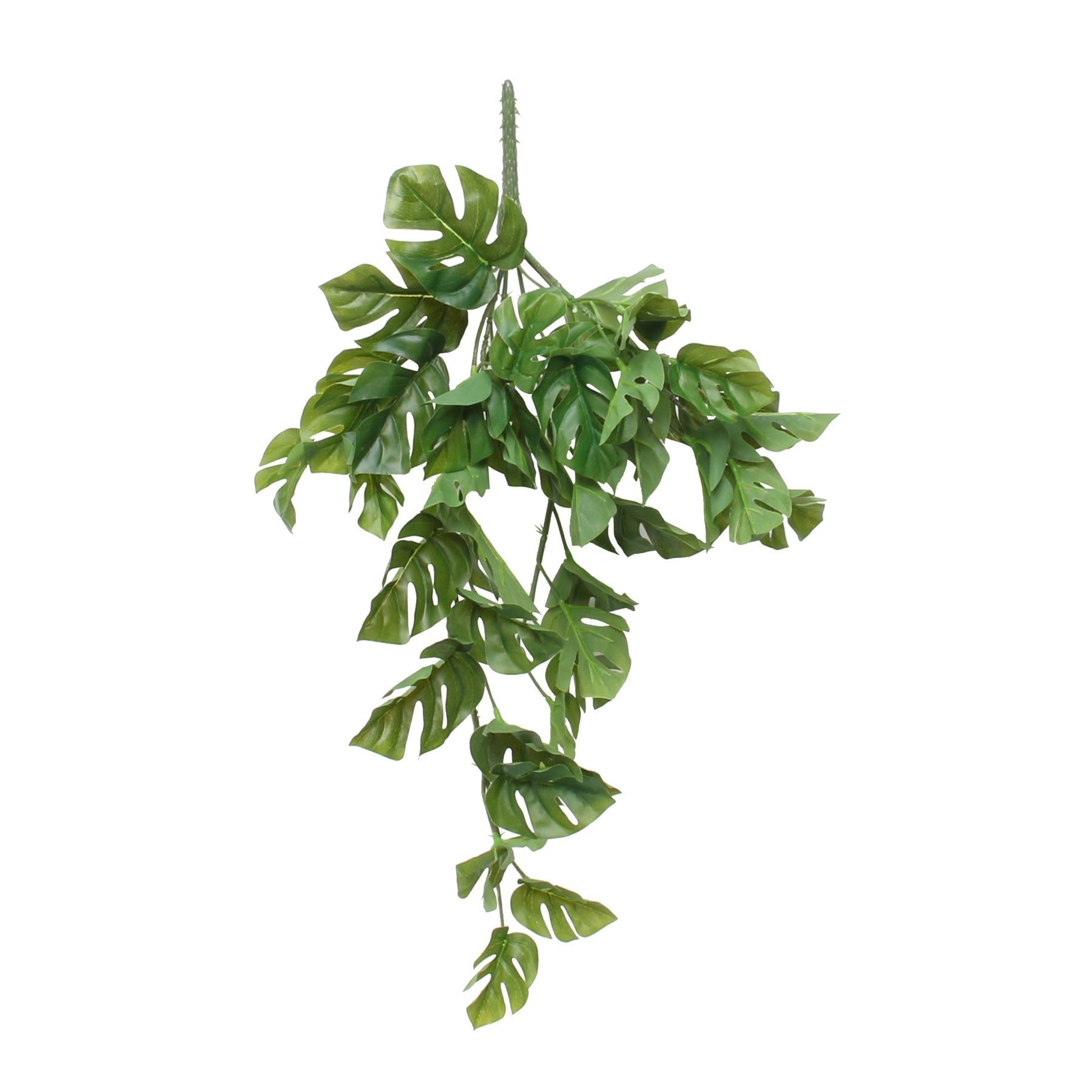 View Split Philo Hanging Bush 24inch information