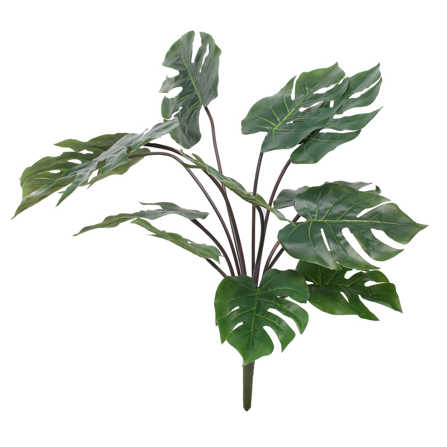 View Grand Pothos Garland 26inch information